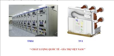 Công ty Cổ phần Điện Trường Giang, Sản phẩm TMS1 và TV1 đạt Chứng nhận quốc tế KEMA và ASTA 