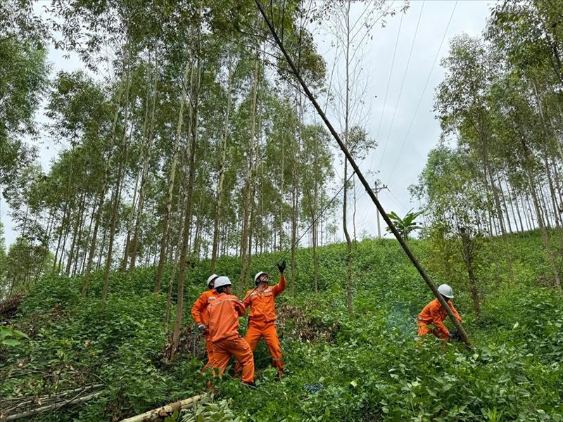 Tổng công ty Điện lực miền Bắc sẵn sàng các phương án đảm bảo cung cấp điện dịp nghỉ lễ Quốc khánh 2/9/2024