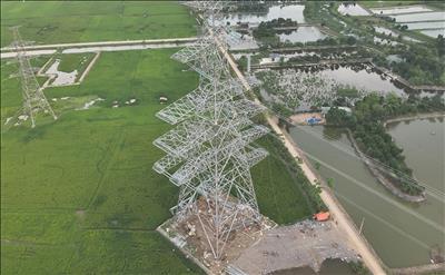 Hoàn thành giai đoạn 1 thi công đoạn tuyến đi chung 6 mạch của Dự án đường dây 500/220kV Nho Quan – Phủ Lý – Thường Tín